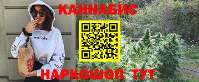 ешки Кингисепп