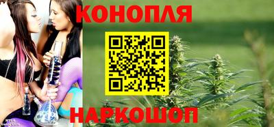 ешки Кингисепп