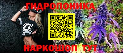 гидра Аргун