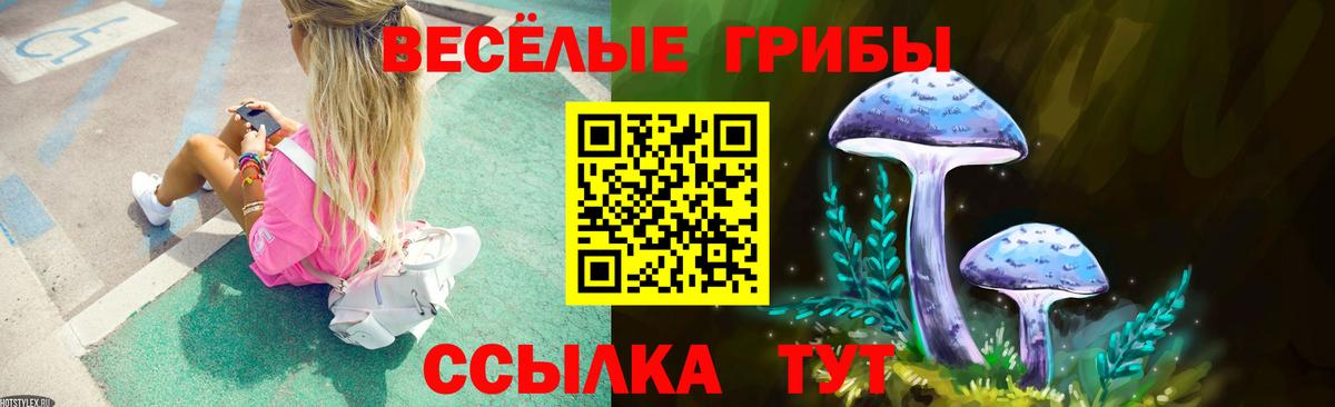 Галлюциногенные грибы GOLDEN TEACHER Краснокаменск