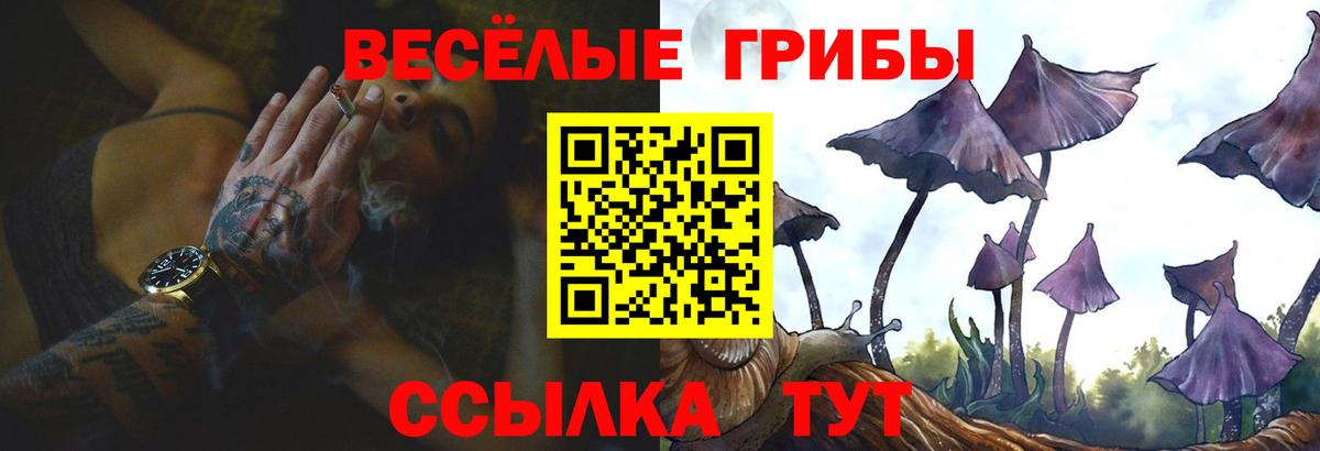 Галлюциногенные грибы Magic Shrooms  Галлюциногенные грибы мицелий  Краснокаменск  Вход с VPN 